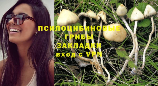 мефедрон мука Заводоуковск