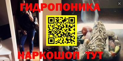 герыч Кингисепп