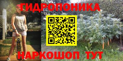 герыч Кингисепп