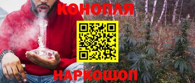 герыч Кингисепп