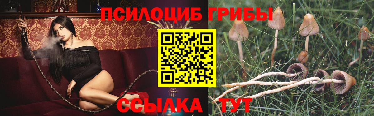 Псилоцибиновые грибы Psilocybe  Вход с VPN  Славянск-на-Кубани 